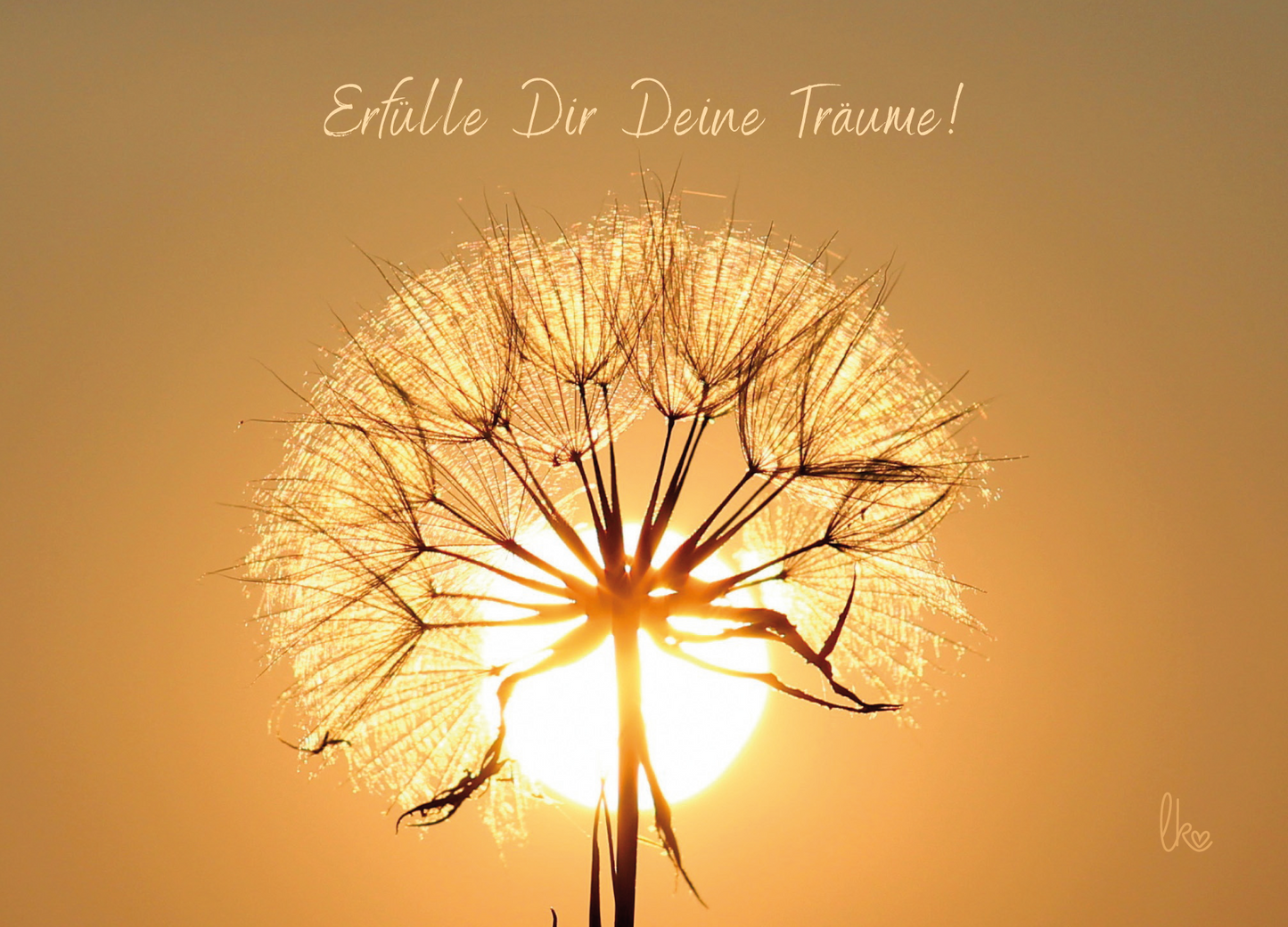 Pusteblume vor der Sonne