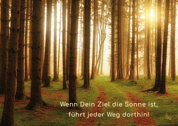 Sonne scheint durch Bäume im Wald hindurch