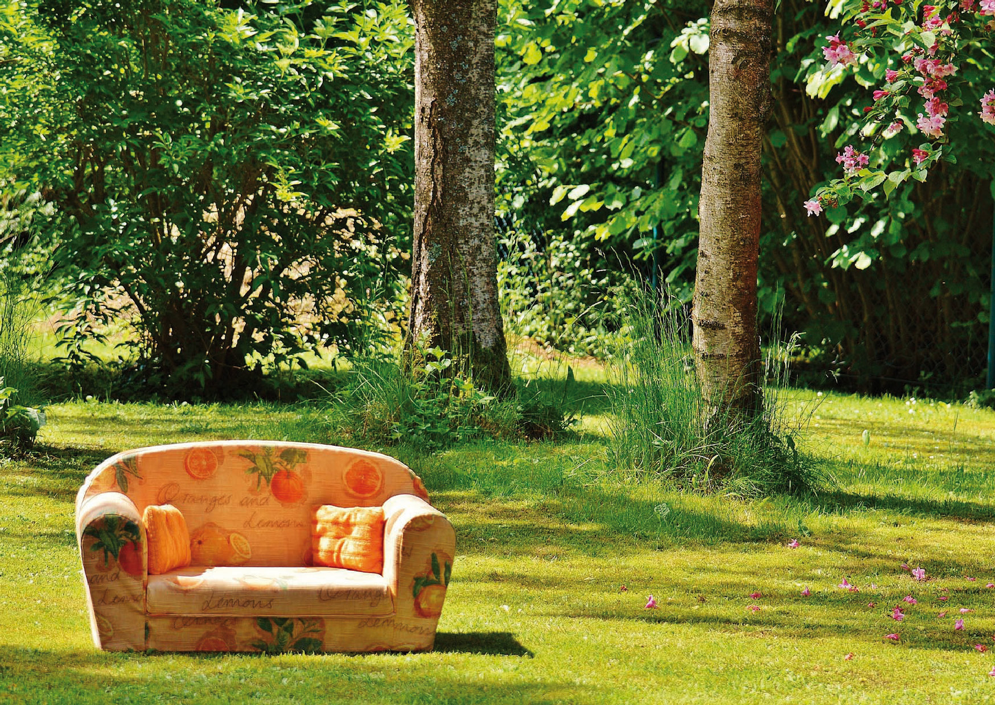 eine bunte Coach in warmen Orangetönen steht auf einer lichtvollen gemähten Wiese vor zwei Baumstämmen und Sträuchern