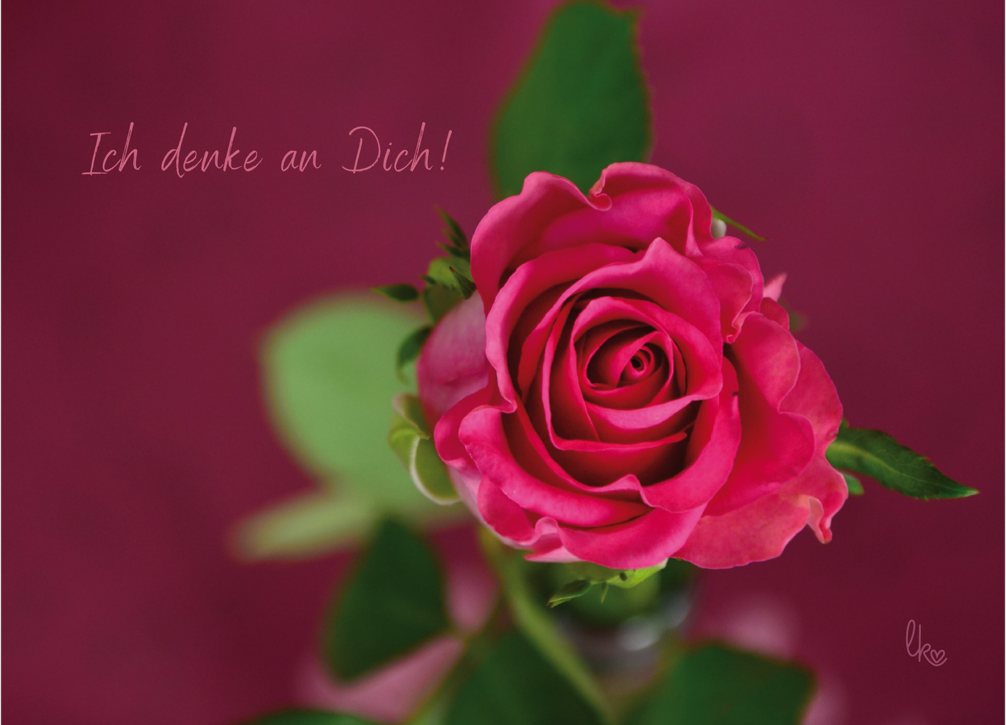 Rose mit dem Text Ich denke an Dich! - Postkarte von liebevoll-kreativ