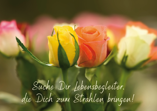 bunte Rosen auf einer Postkarte mit Spruch Suche Dir Lebensbegleiter, die Dich zum Strahlen bringen!